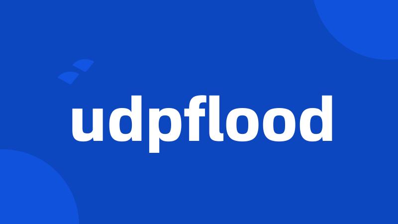 udpflood