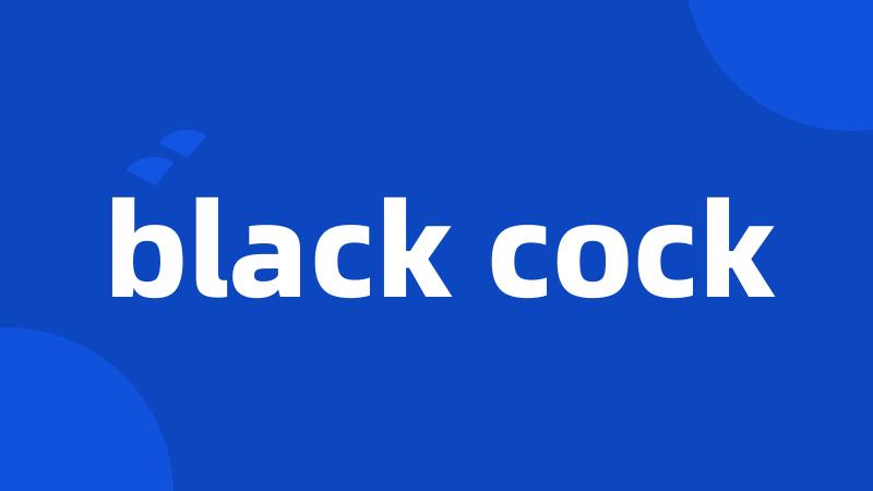 black cock