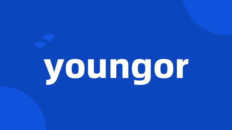 youngor