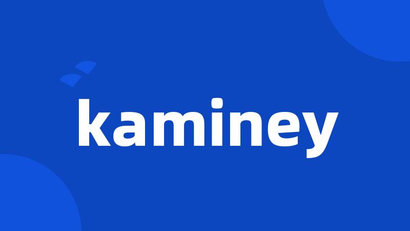 kaminey