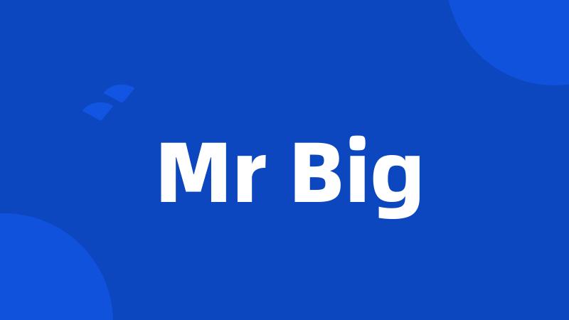 Mr Big