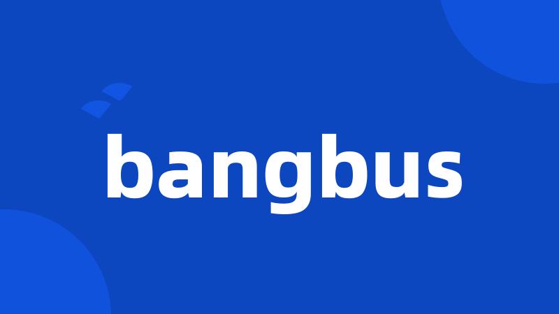 bangbus