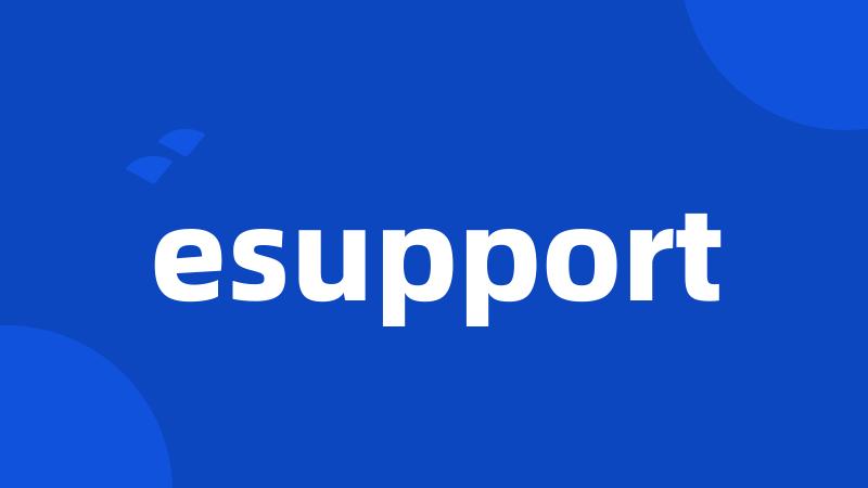 esupport