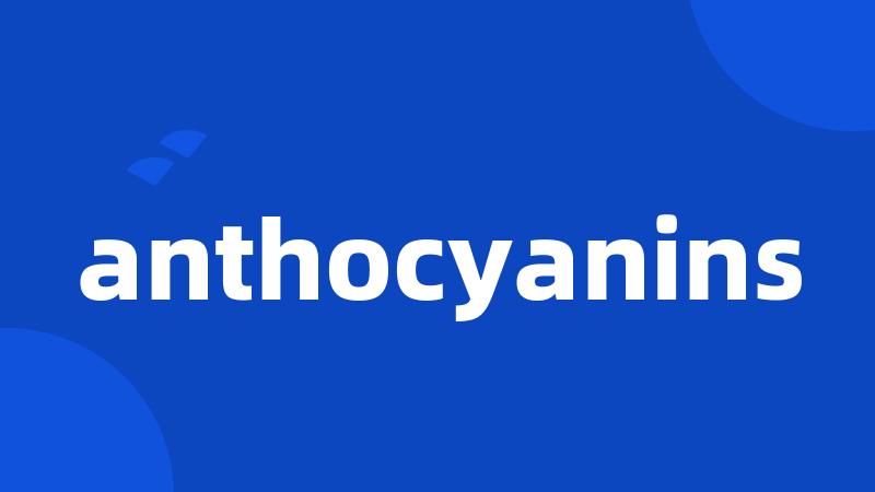 anthocyanins