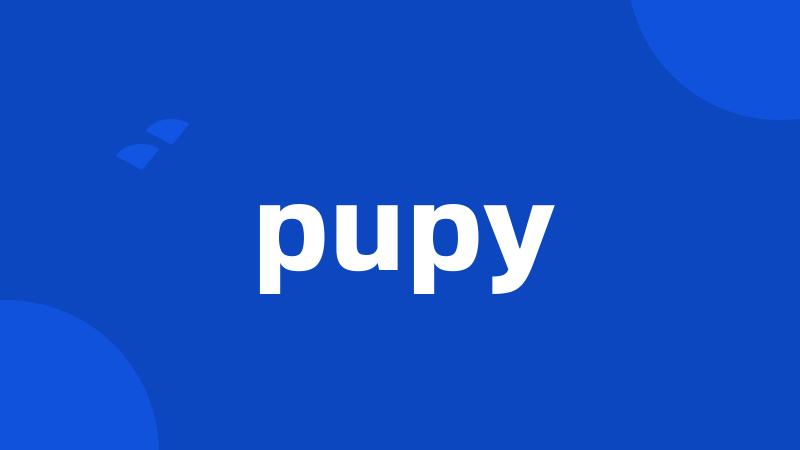 pupy