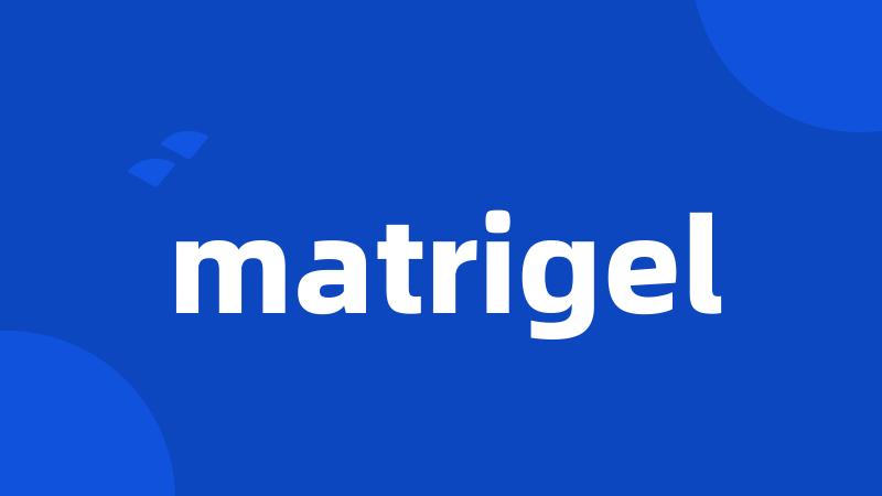 matrigel