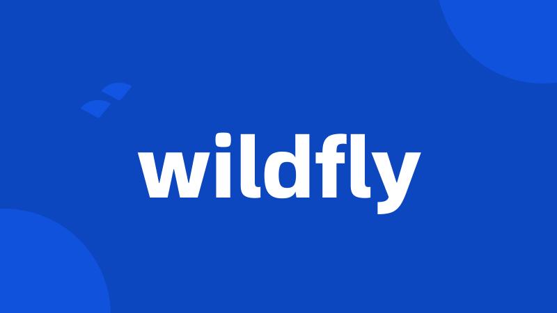 wildfly