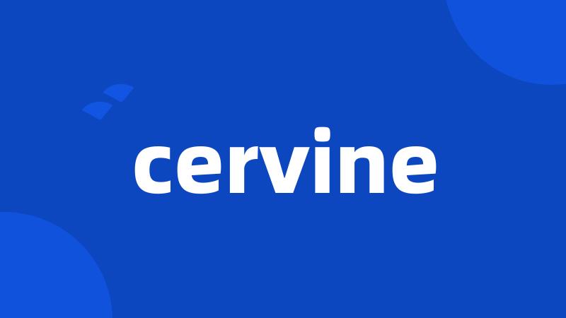 cervine