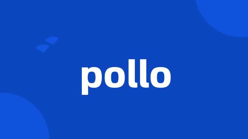 pollo