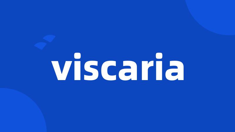 viscaria