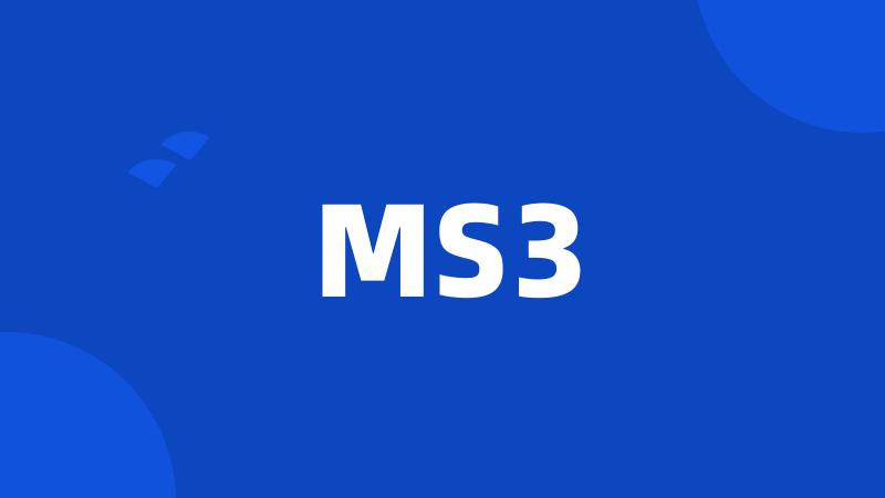 MS3