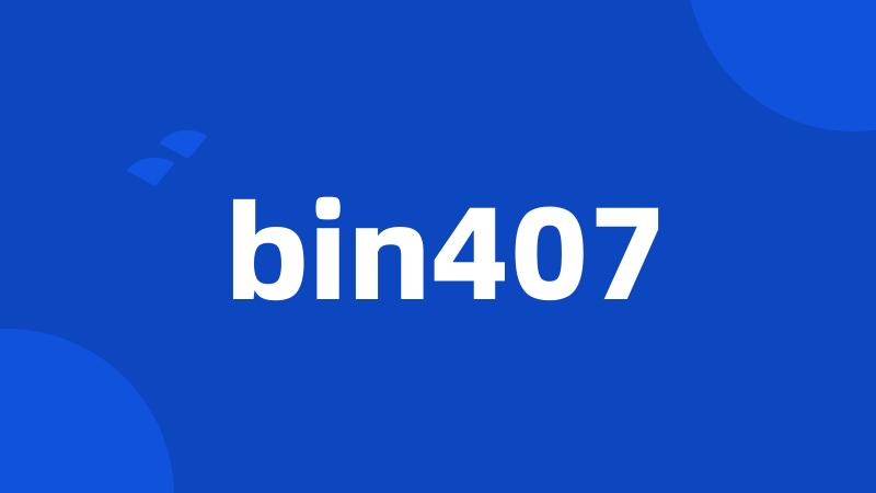 bin407