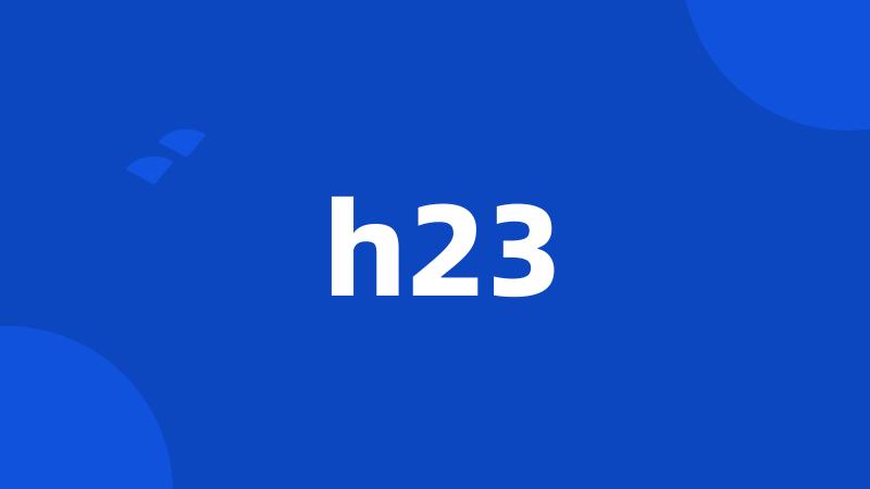 h23