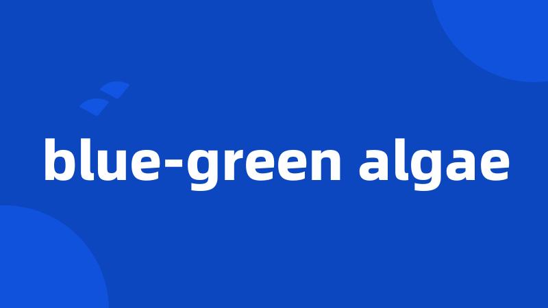 blue-green algae