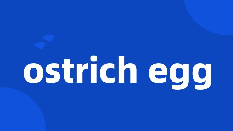 ostrich egg