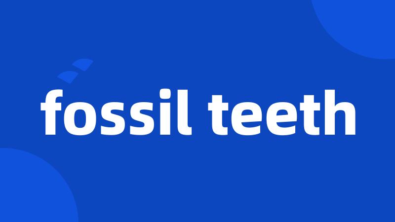 fossil teeth