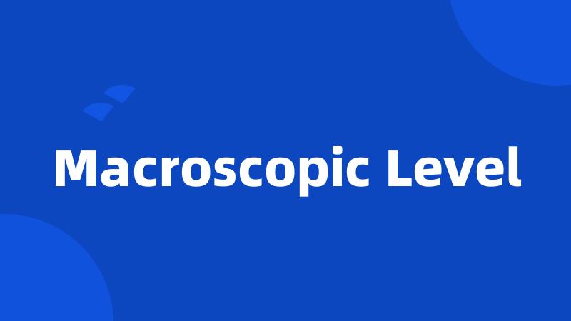 Macroscopic Level