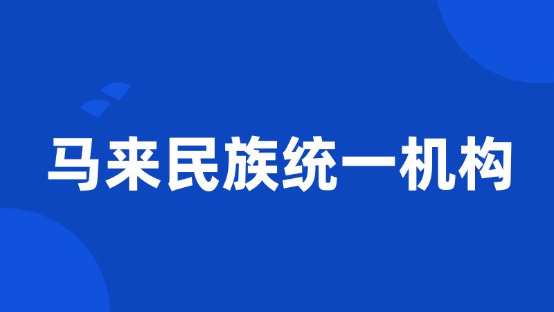 马来民族统一机构