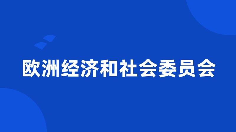 欧洲经济和社会委员会