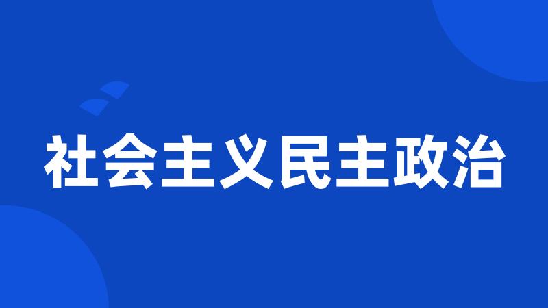 社会主义民主政治