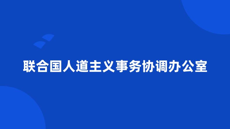 联合国人道主义事务协调办公室