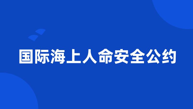 国际海上人命安全公约