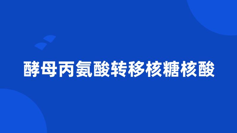 酵母丙氨酸转移核糖核酸