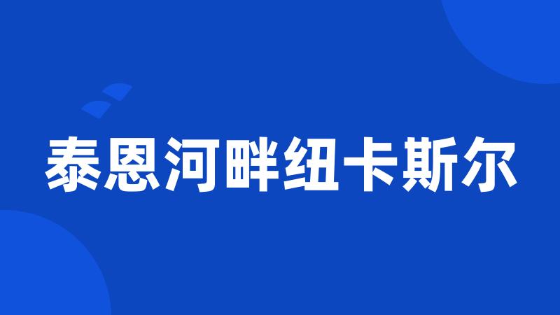 泰恩河畔纽卡斯尔