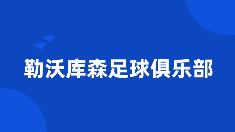 勒沃库森足球俱乐部