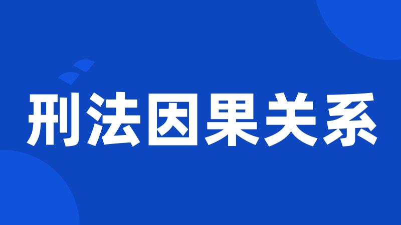 刑法因果关系