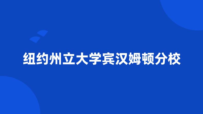 纽约州立大学宾汉姆顿分校