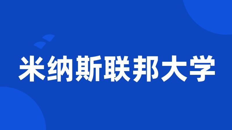 米纳斯联邦大学