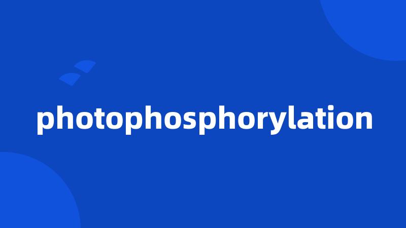 photophosphorylation