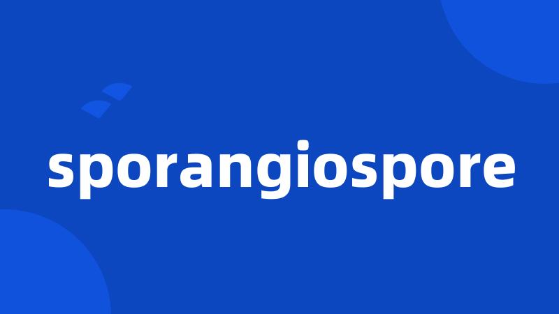 sporangiospore