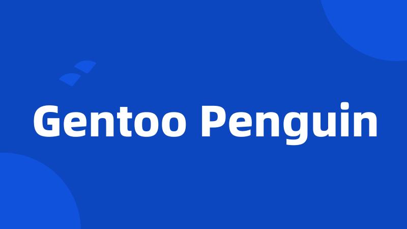 Gentoo Penguin