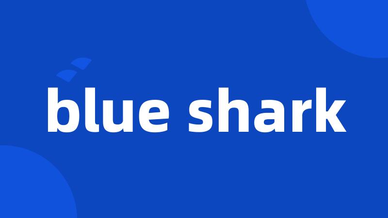 blue shark