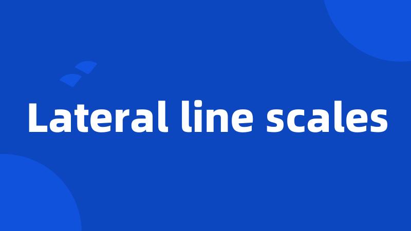 Lateral line scales