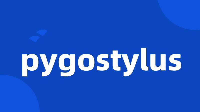 pygostylus