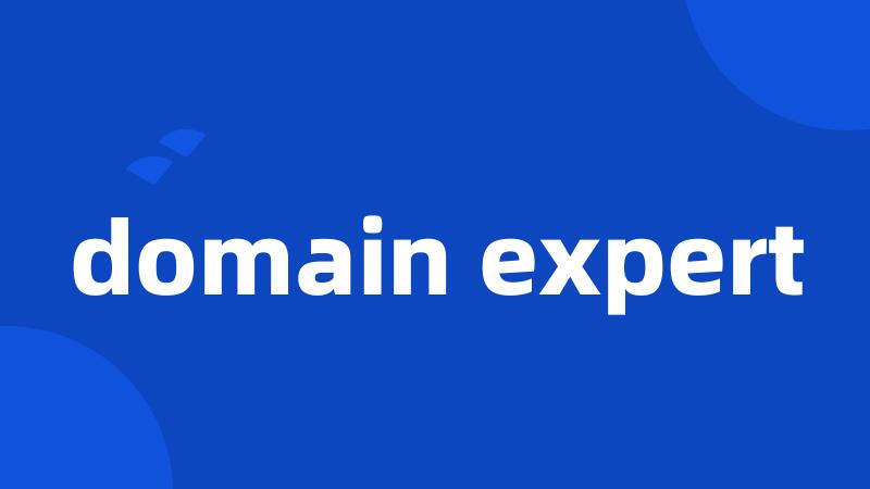 domain expert