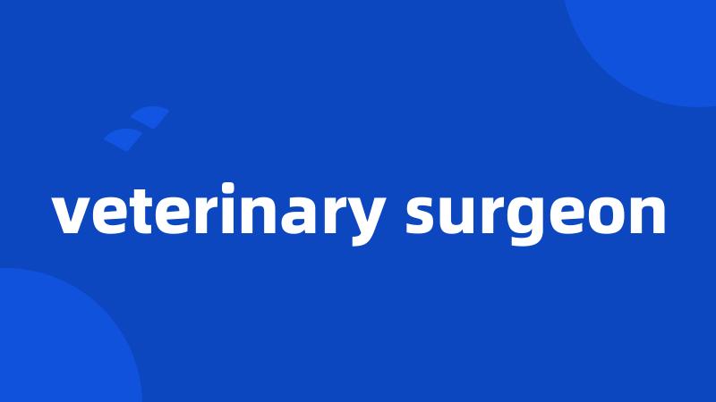 veterinary surgeon