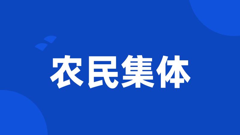 农民集体