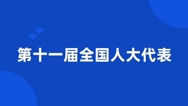 第十一届全国人大代表