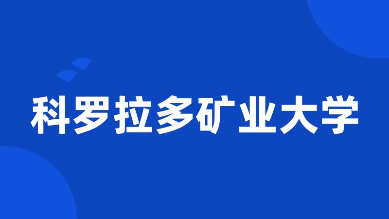 科罗拉多矿业大学