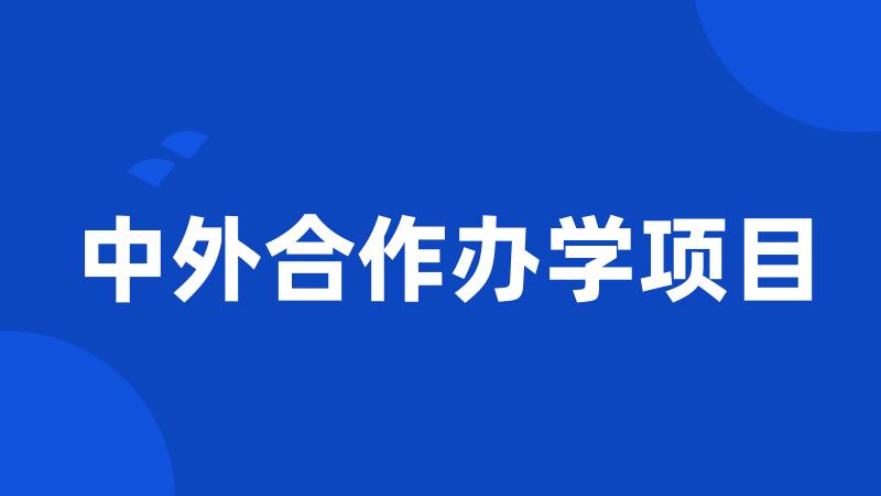 中外合作办学项目