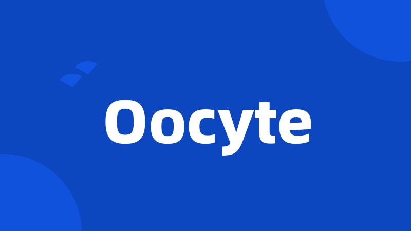 Oocyte