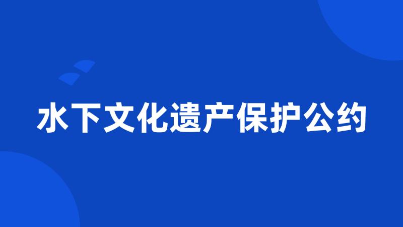 水下文化遗产保护公约