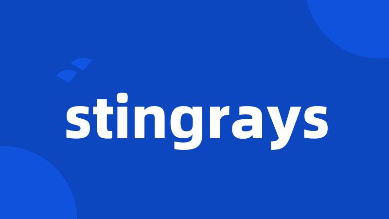 stingrays