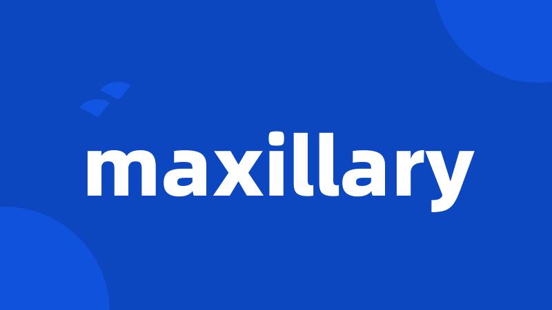 maxillary