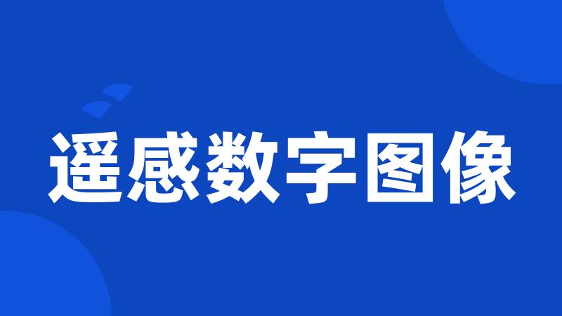 遥感数字图像