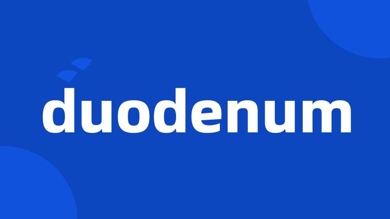 duodenum